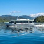 Self-Guided Queen Charlotte Track Walk from Picton - Detailed Breakdown of the Itinerary