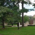 Self-Guided Scavenger Hunt: Houston's Museum District - Final Thoughts: Is It Worth It?