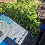 Self Guided Scavenger Hunt in Los Angeles - FAQ