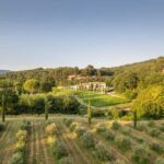 Self tour of the olive oil mill & olive oil tasting - A Deep Dive into the Olive Oil Experience