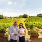 Sella delle Spine Taurasi: Tasting, Vineyard and Winery Tour - Why This Tour Offers Great Value