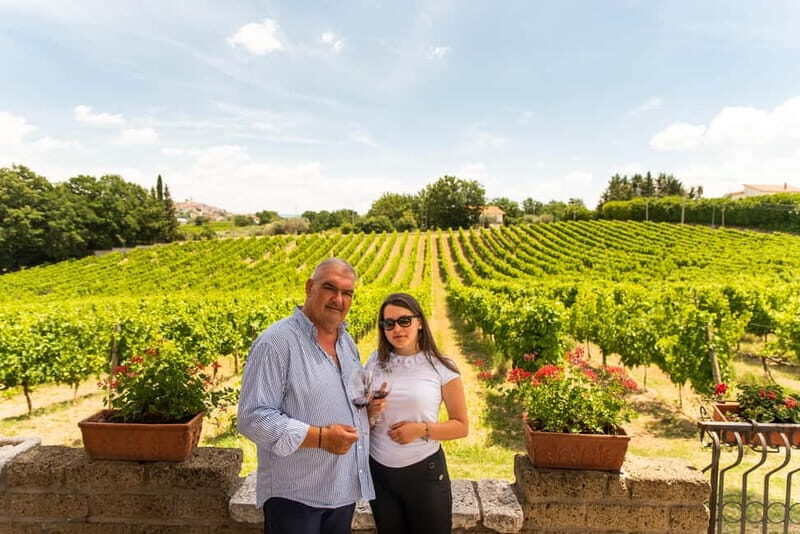 Sella delle Spine Taurasi: Tasting, Vineyard and Winery Tour - Why This Tour Offers Great Value