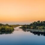 Semi-Private Everglades Tour from Miami Or Fort Lauderdale - Conclusions