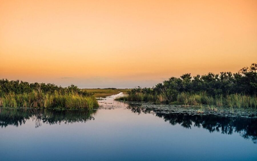 Semi-Private Everglades Tour from Miami Or Fort Lauderdale - Conclusions