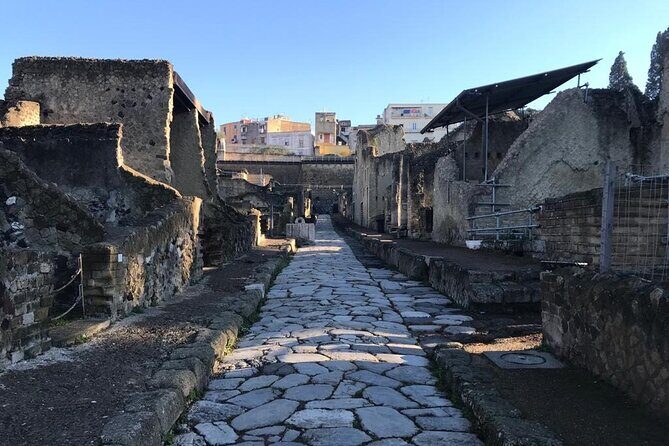 Semi-Private Guided Small-Group Tour of Herculaneum - The Value of a Guided Tour in Herculaneum