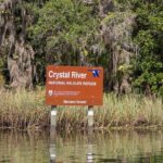 Semi-Private Manatee snorkeling with In Water Guide - Exploring the Crystal River Manatee Snorkel Experience