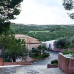 Semi Private Wine and Olive Oil tour (Transfer & Lunch Incl.) - The Itinerary in Detail