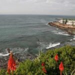 Senior Tourism: Gastronomic and cultural experience near Lisbon - Authentic Experiences and Why They Matter