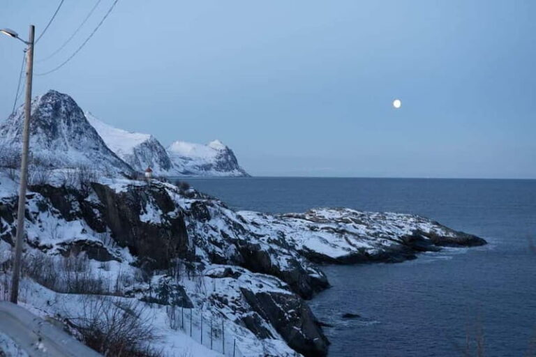 Senja: Full-Day Guided Tour with Husøy and Ersfjord - Practical Details and What to Expect
