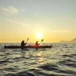 Senja: Guidet Evening Kayak Cruise - Who Should Consider This Tour?