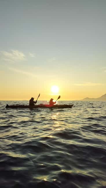 Senja: Guidet Evening Kayak Cruise - Who Should Consider This Tour?