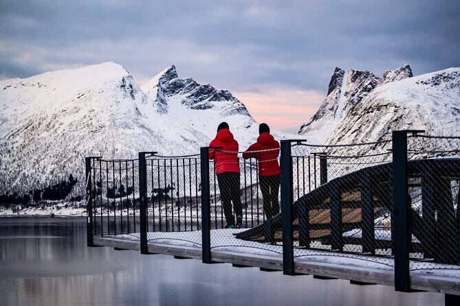 Senja Island: 4x4 Day Tour with Overlanding Senja - An In-Depth Review of the Senja 4x4 Day Tour