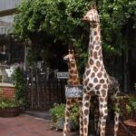 Senoia The Walking Dead Film locations 2 hours Walking Tour - Final Thoughts: Who Will Love This Tour?