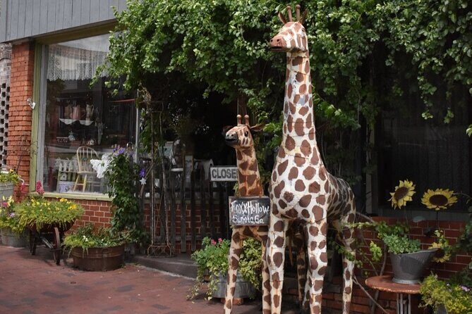 Senoia The Walking Dead Film locations 2 hours Walking Tour - Final Thoughts: Who Will Love This Tour?