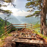 Serbia: Drina River House & Tara National Park Full Day Tour - An In-Depth Look at the Experience