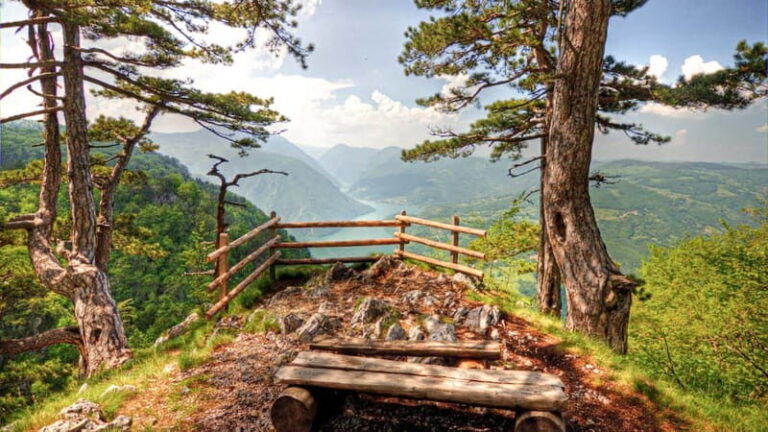 Serbia: Drina River House & Tara National Park Full Day Tour - An In-Depth Look at the Experience