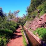 Serra D'Água Valley - Levada Walk - Why This Tour Offers Great Value