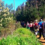 Serra de Água Valley Levada Walk - FAQ About the Serra de Água Valley Levada Walk