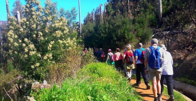 Serra de Água Valley Levada Walk - FAQ About the Serra de Água Valley Levada Walk