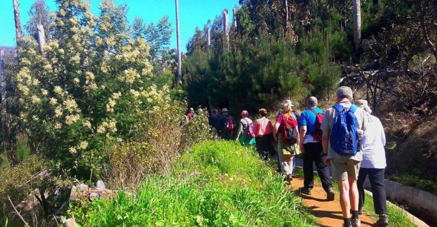 Serra de Água Valley Levada Walk - FAQ About the Serra de Água Valley Levada Walk