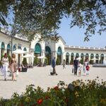 Serravalle Designer Outlet Private Shopping Tour from Milan - The Sum Up