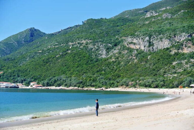 Sesimbra & Arrábida National Park Tour with 5 Wines Tasting - A Day of Natural Beauty and Local Flavors