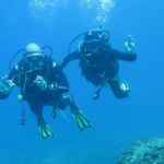 Sesimbra Dive Discovery - In-Depth Review of Sesimbra Dive Discovery