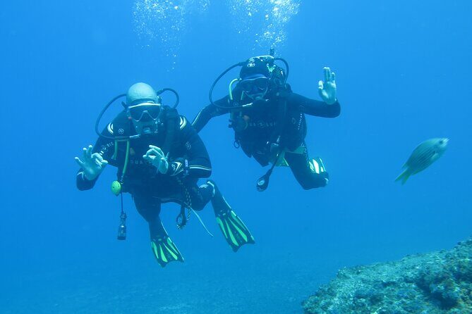 Sesimbra Dive Discovery - In-Depth Review of Sesimbra Dive Discovery