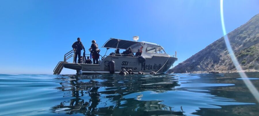 Sesimbra: Double Dive on a Marine reserve - What’s Included and What’s Not