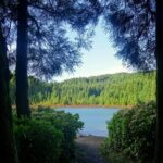 Sete Cidades by Van (half day) - Who Should Book This Tour?