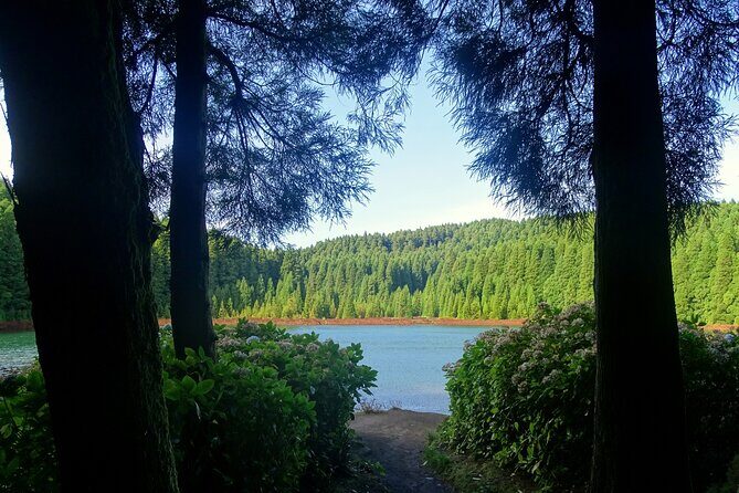 Sete Cidades by Van (half day) - Who Should Book This Tour?
