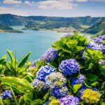 Sete Cidades & Lagoa do Fogo - Private Group Tour - What’s Included, What’s Not