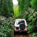 Sete Cidades - Nature Lovers - Private Jeep Tour with Local Guide - Who is This Tour Best For?