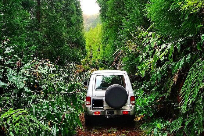 Sete Cidades - Nature Lovers - Private Jeep Tour with Local Guide - Who is This Tour Best For?