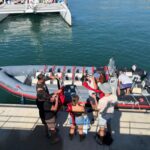 Setúbal: Dolphin-Watching Boat Tour - What Do You Get for Your Money?