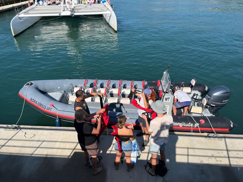 Setúbal: Dolphin-Watching Boat Tour - What Do You Get for Your Money?