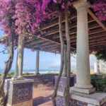 Setúbal Private Walking Tour: Off-the-Beaten-Path Charms - Exploring Setúbal: A Walking Tour for Authenticity and Charm