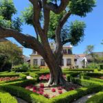 Setúbal Wine Tour with Visit and Tasting at 2 Wineries - The detailed experience