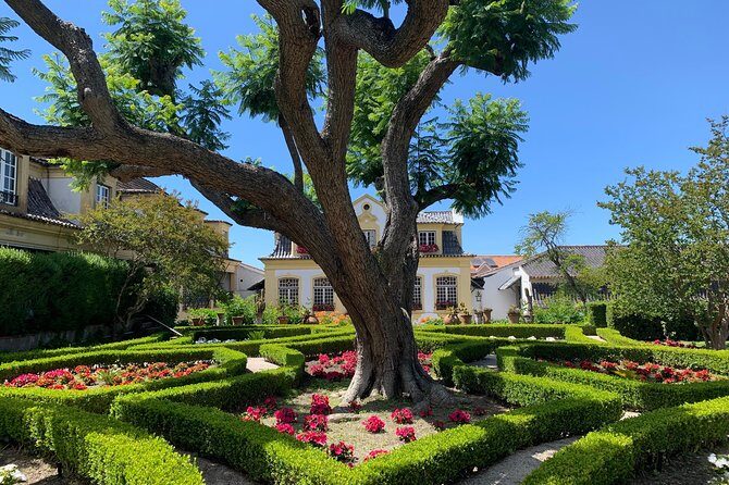 Setúbal Wine Tour with Visit and Tasting at 2 Wineries - The detailed experience