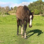 Seven Hanging Valleys Expedition with Lunch in the Vineyard - FAQ