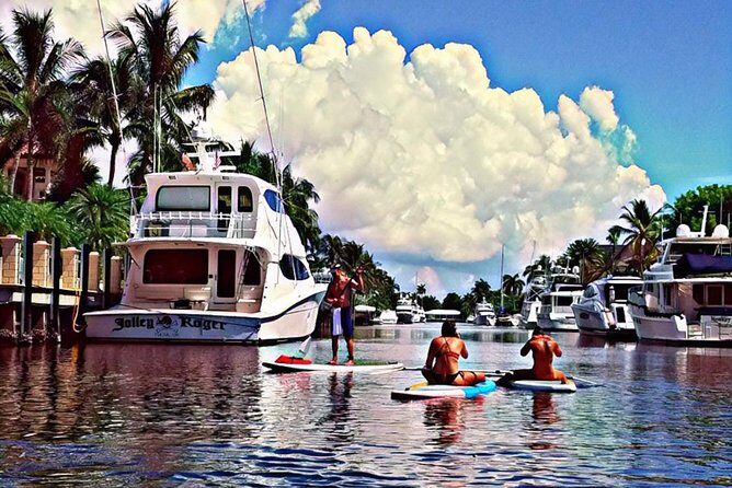 Seven Isles Tour & Exclusive Fort Lauderdale Mangrove & ECO Paddle Board / Kayak - Final Thoughts: Why This Tour is a Smart Pick