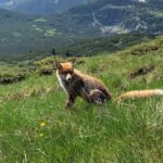 Seven Rila Lakes - Full Day Hiking Trip in the Rila Mountain - Who Is This Tour Best For?