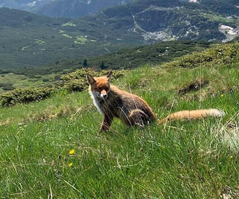 Seven Rila Lakes - Full Day Hiking Trip in the Rila Mountain - Who Is This Tour Best For?