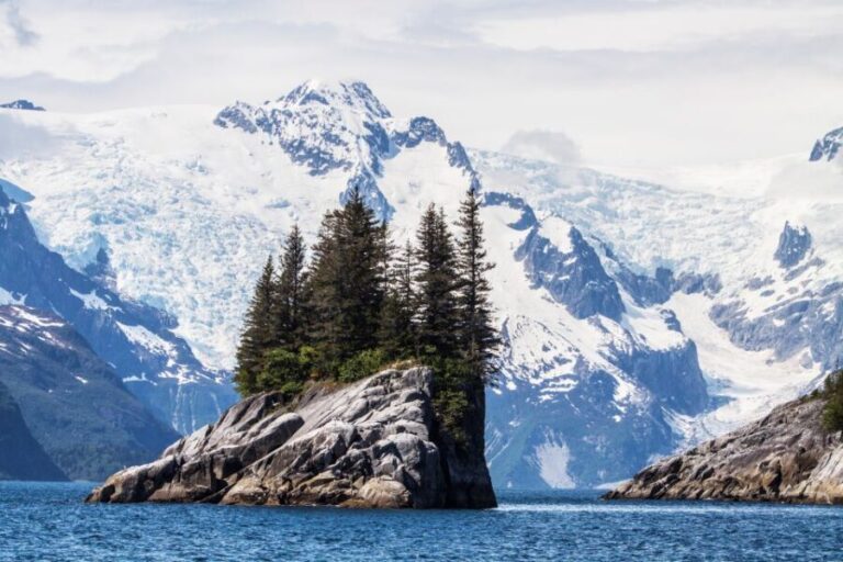 Seward: Kenai Fjords National Park Catamaran Cruise w/Lunch - FAQs