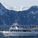 Seward: Spring Wildlife Guided Cruise - An In-Depth Look at the Seward Wildlife Cruise