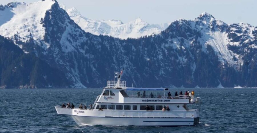 Seward: Spring Wildlife Guided Cruise - An In-Depth Look at the Seward Wildlife Cruise