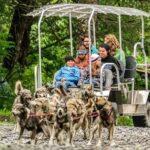 Seward: Turning Heads Kennel Tour & Dog Sled Ride - Authenticity and Value