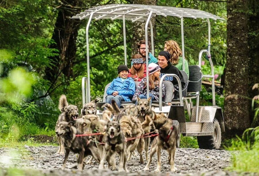 Seward: Turning Heads Kennel Tour & Dog Sled Ride - Authenticity and Value