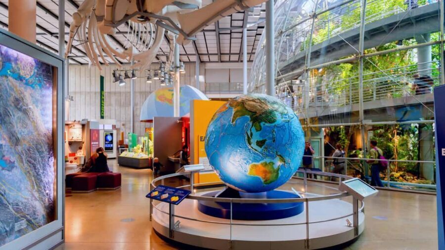 SF: CA Academy of Sciences & Hop-on Hop-off Tour (Save 15%) - Who Should Consider This Tour