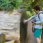 SF: Guided Muir Woods Tour & Hop-On Hop-Off Tour (Save 15%) - Analyzing the Value